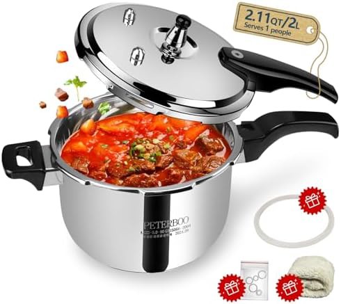 Mini stainless steel two quart cooker