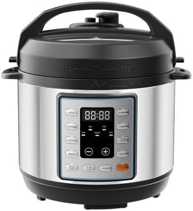 Small 3 quart stainless multi-cooker